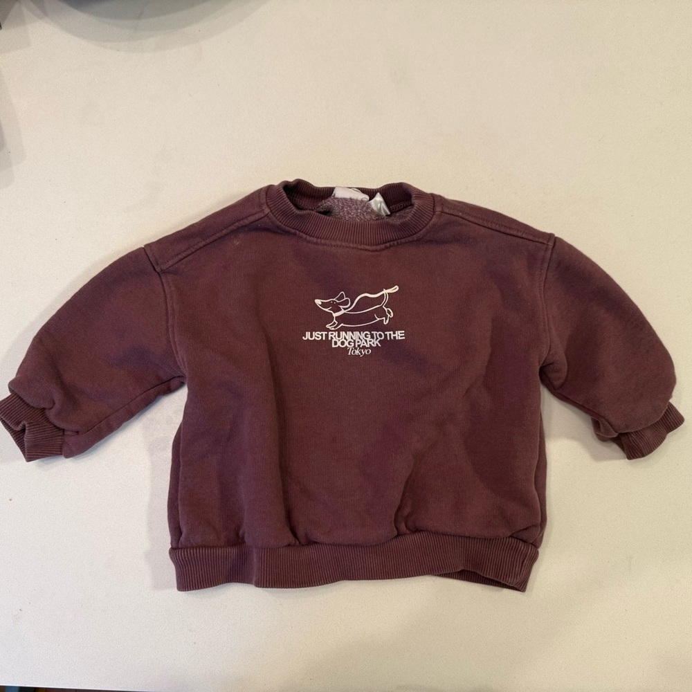 Zara Kids Graphic Maroon Sweatshirt
